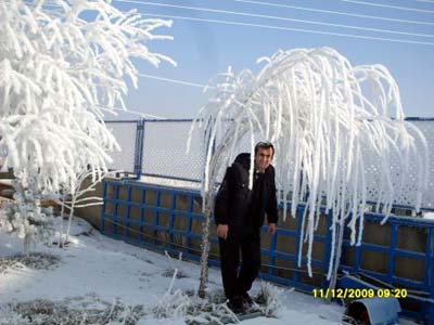 Ağaçlar kış ortasında çiçek açtı
